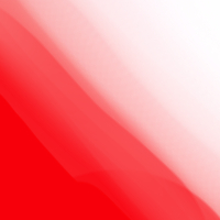20250304