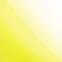 20250308