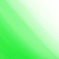 20250310
